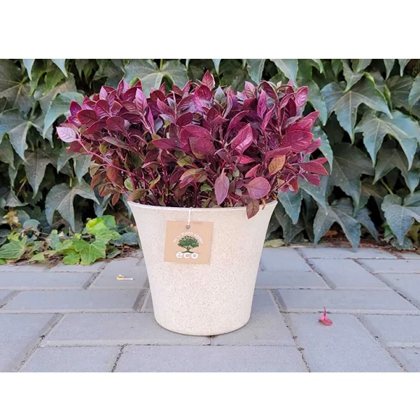 Горшок "ЭКО Лотос" D18,5 со встав. 2,5л слоновая кость (то)