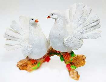 Голуби белые пара малая