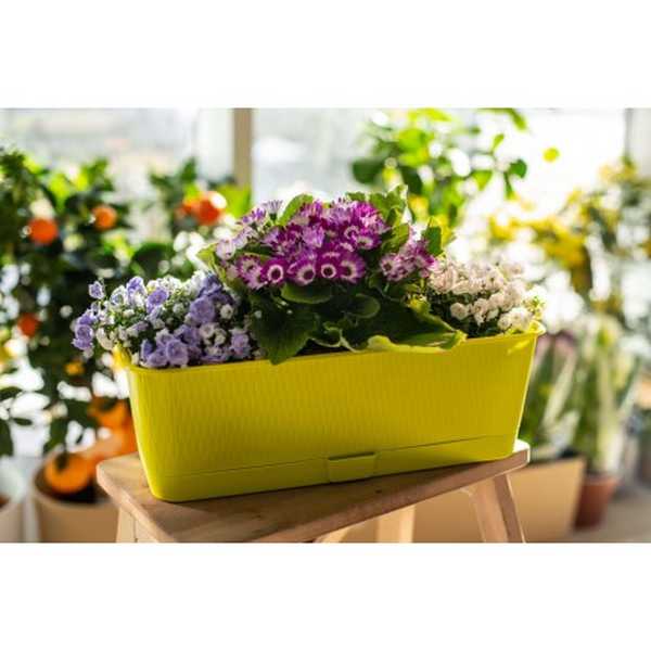 Ящик балконный "Прованс", 6л, с поддоном фисташка (то)