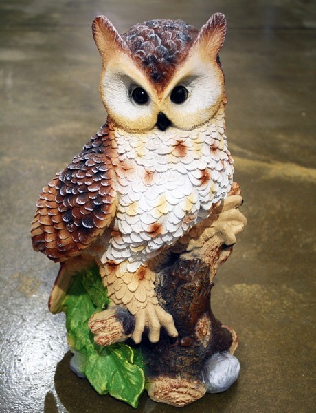 Филин на коряге