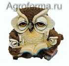 Копилка "Сова с совятами и книгой"