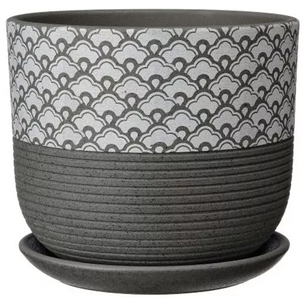 Горшок бук хоккайдо сер.N3 d18см
