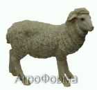 Овечка 48*45см