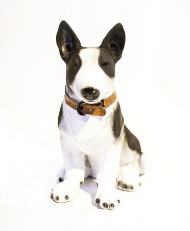 Собака Бультерьер