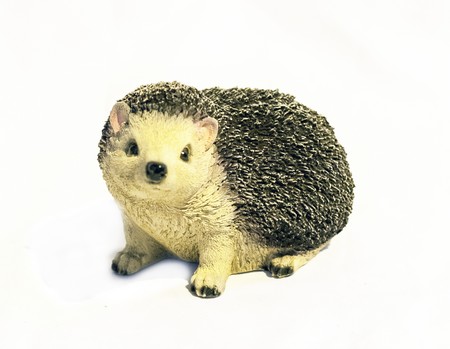 Ежик лесной малый