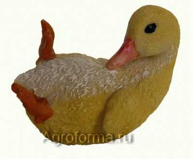 Утёнок лежащий