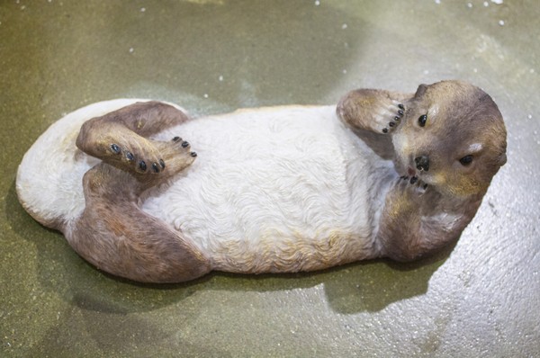 Калан (плавающий)