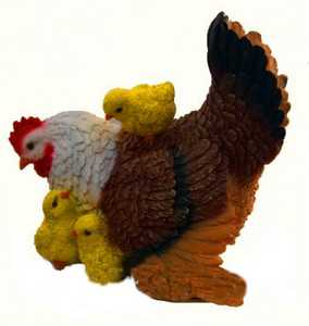 Курица наседка