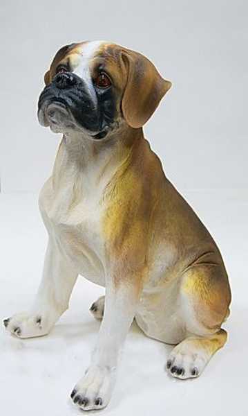 Щенок боксера