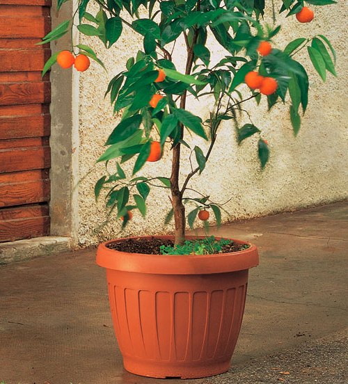 Кашпо ТЕРРА 40см (терракот) ~23литра