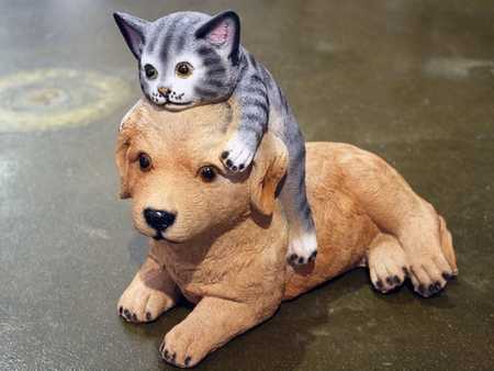 Щенок с котенком 