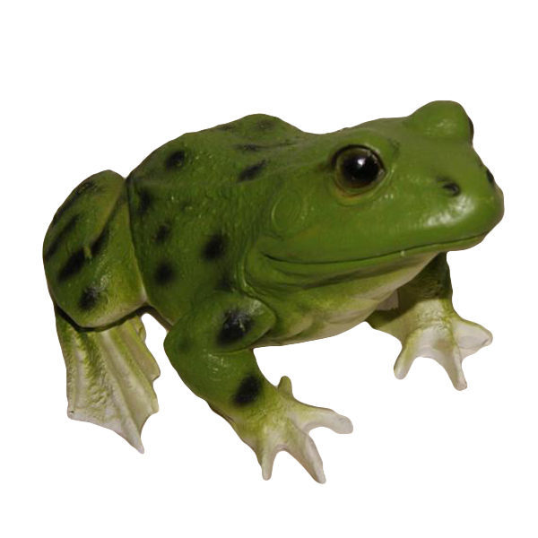 Лягушка малая