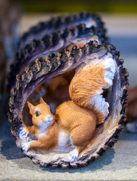 Белка в шишке