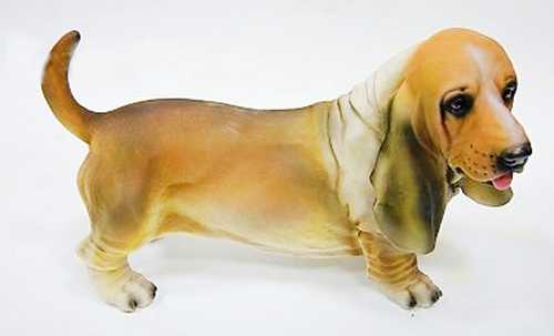 Собака бассет-хаунд АФ0235