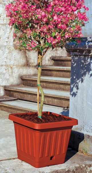 Кашпо ТЕРРА с поддоном квадрат. 50х50х43см (терракот) ~57 литров