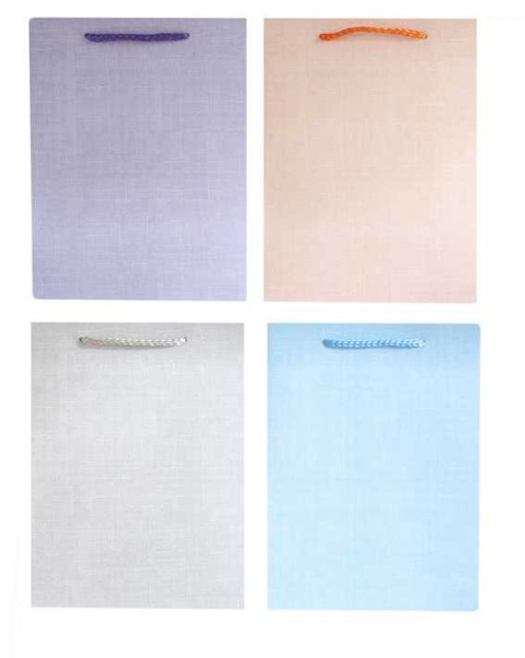 Пакет подарочный S,28*18*10см