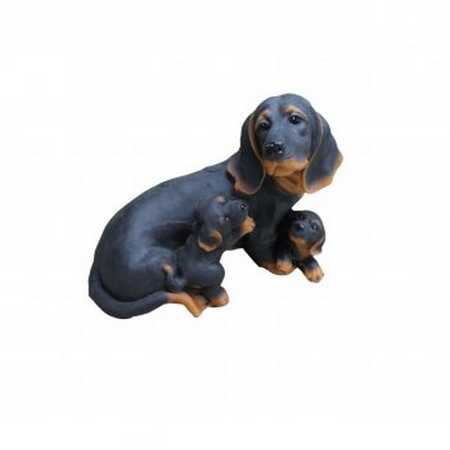 Собака Такса семья