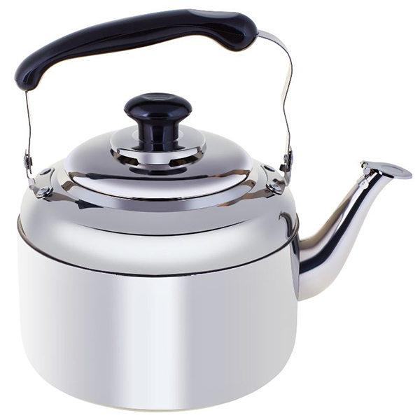 Чайник нерж 7,0л без свистка RGS-KD5291/7