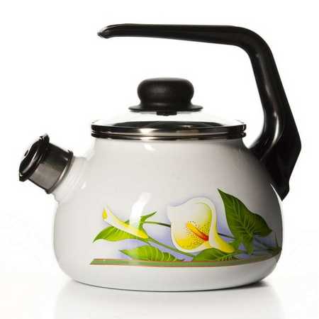 Чайник 3,0л сфер. со свист. "КАЛЛЫ" (1/4)