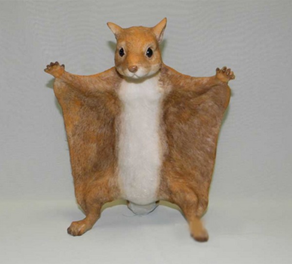 Белка-летяга 25см