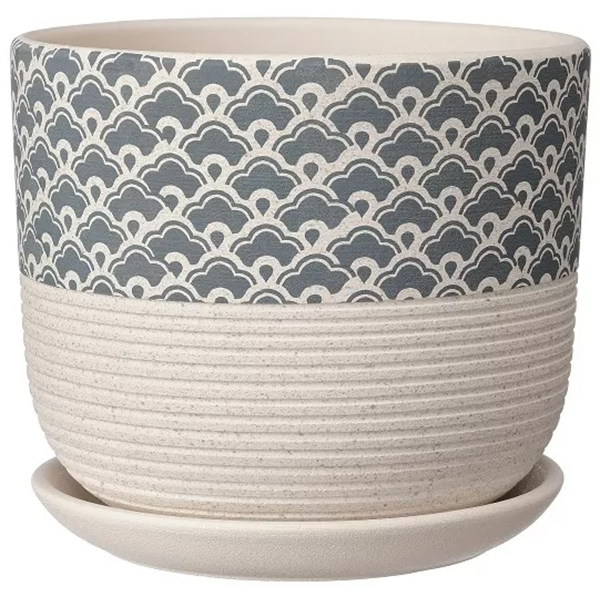 Горшок бук хоккайдо бел.N2 d15см