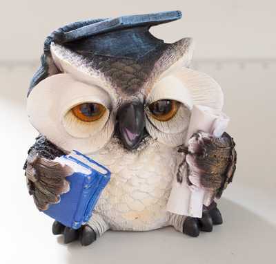 Копилка "Сова ученая"