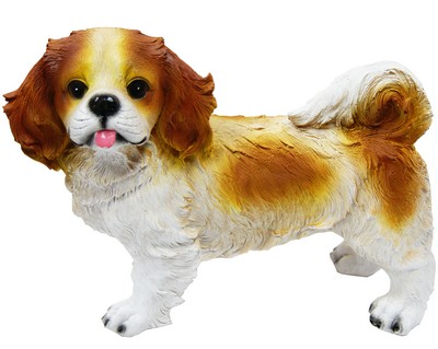 Собака пекинес