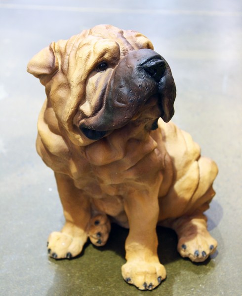 Щенок шарпей