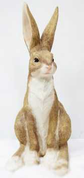 Заяц полевой 	35х18х13