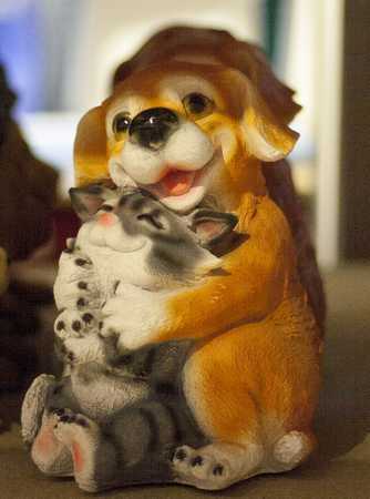 Щенок с котенком