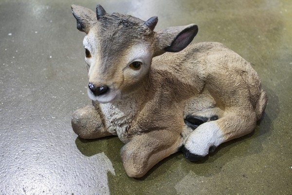 Козленок лежащий