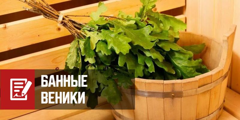 Из чего делают банные веники