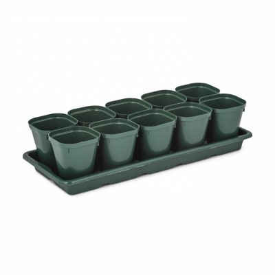 Набор д/рассады с поддоном (10 стаканов 0.3л) (то)