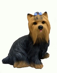 Собака Йорк большой