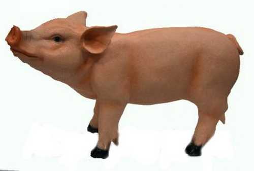 Поросенок малый АФ0116