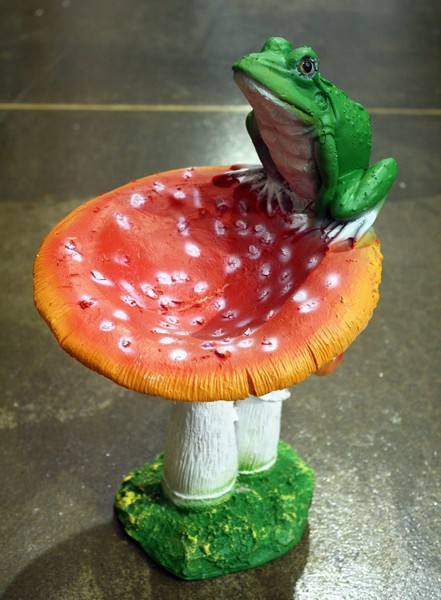 Гриб-мухомор с лягушкой