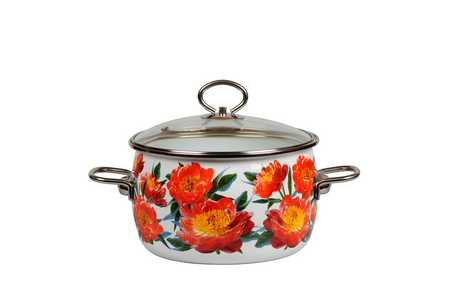 Кастрюля сф. 4,0л.  "PEONY"  