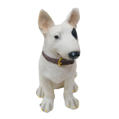 Собака Бультерьер с ошейником