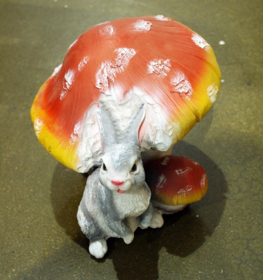 Гриб поганка с зайчиком