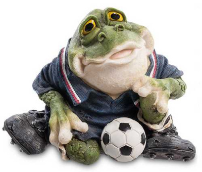 Лягушка - футболист