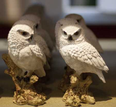 Сова на коряге	22х14