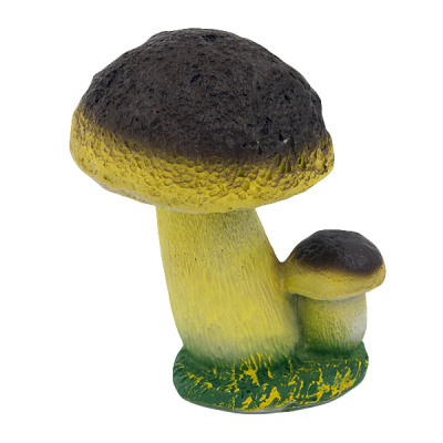 Гриб белый двойной малый