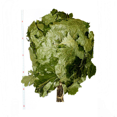 Веник "БАРСКИЙ" из канадского дуба (в упак.)