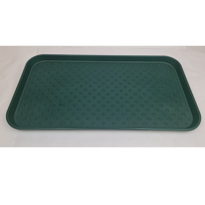 Лоток для обуви 70х37см зеленый (то)