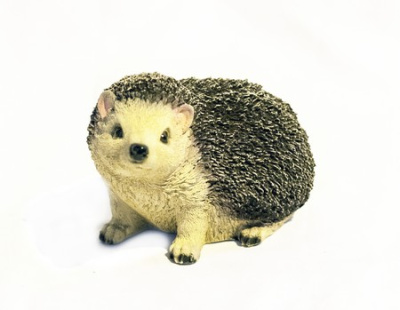 Ежик лесной малый