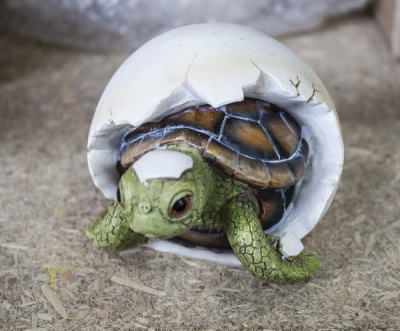 Черепаха в яйце