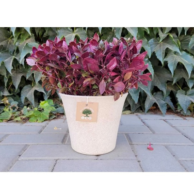 Горшок "ЭКО Лотос" D18,5 со встав. 2,5л слоновая кость (то)