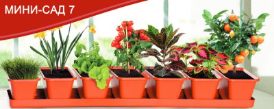 Мини-сад 7 горшков + поддон 73см