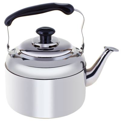 Чайник нерж 7,0л без свистка RGS-KD5291/7