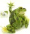 Лягушка (10*17*18см) Лягушка (10*17*18см)